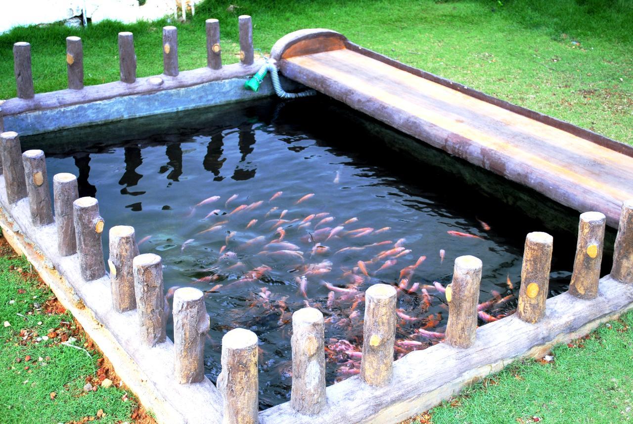 Ramon Beach Resort Ambalangoda  Esterno foto